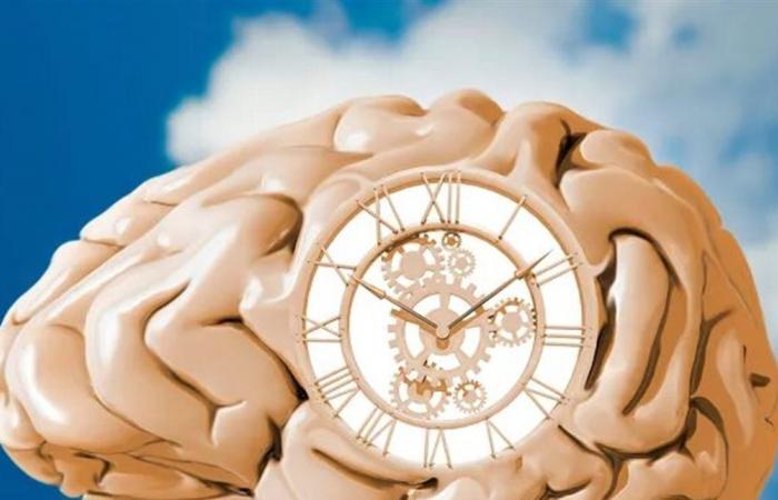 كيف تحدد ساعتك البيولوجية مصير صحتك وشيخوختك؟