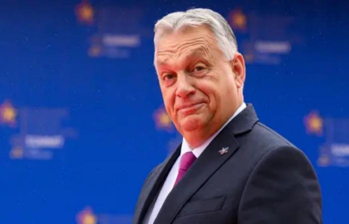 زيلينسكي يسخر من “بطن” رئيس وزراء