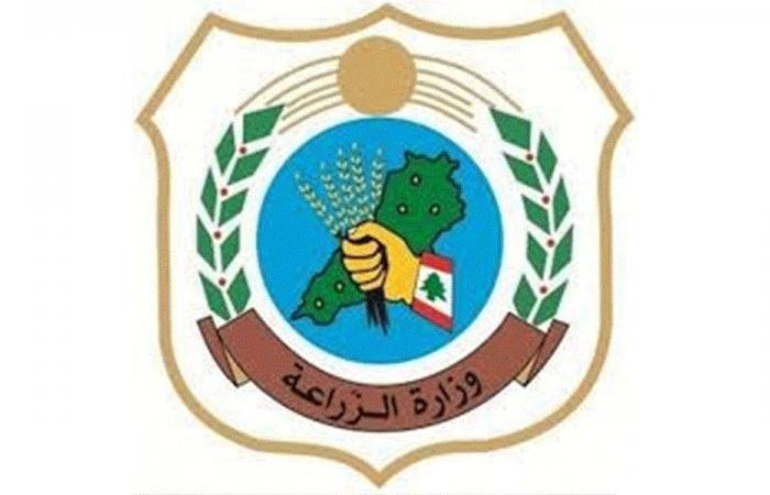 تشكيل لجنة قطاعية للنهوض بالمنتجات الغذائية التقليدية