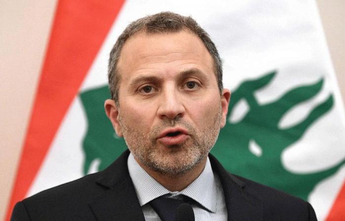 باسيل: لأهمية التوازن بين لبنان المقيم ولبنان المنتشر