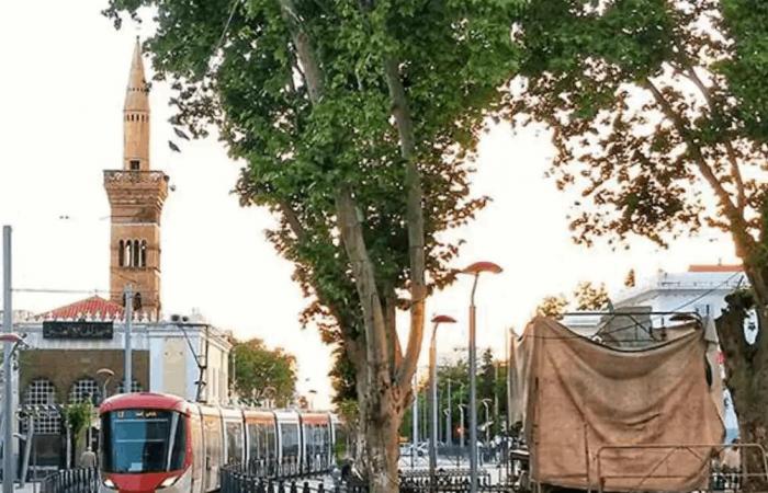 اعتداء على تمثال في الجوائر يشعل الجدل (فيديو)