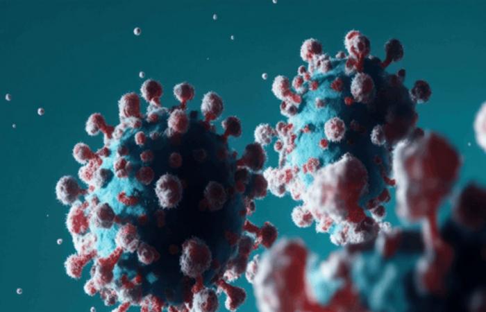 يصل معدل الوفيات الناجمة عنه 90%.. مخاوف من انتقال فيروس فتاك إلى البشر!