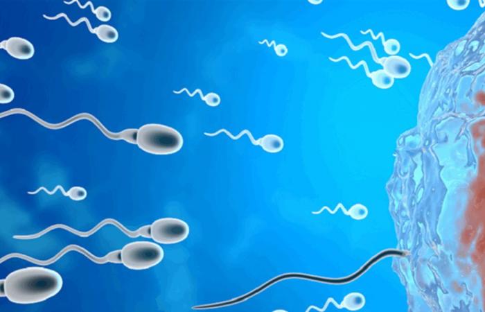 عامل غير متوقع يؤثر على الحيوانات المنوية.. ما هو؟