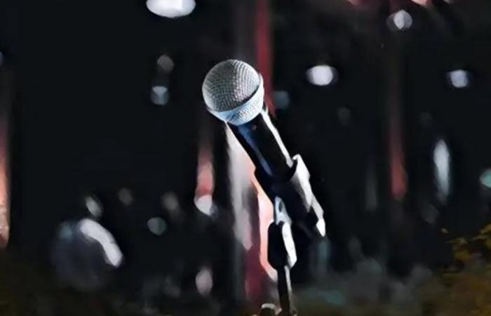 بالفيديو... فنانة لبنانيّة بكت خلال حفلها بسبب الحرب على لبنان