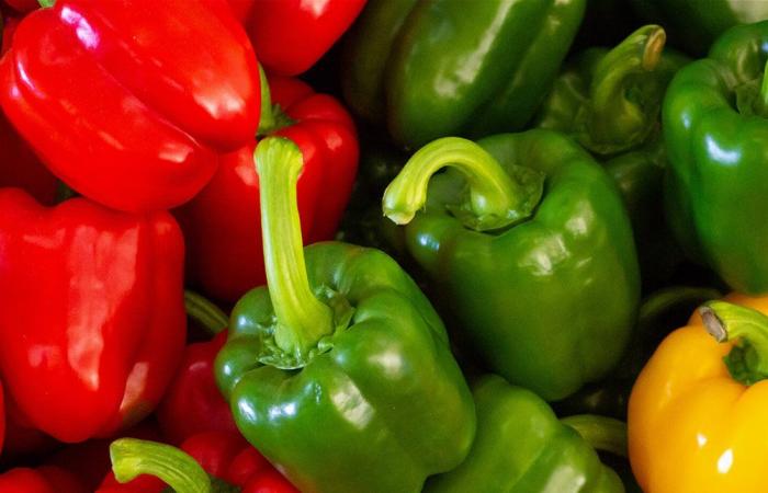 الفلفل الأحمر أم الأخضر.. أيهما يمنحك فوائد صحية أكبر؟