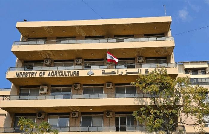 وزارة الزراعة: الإنتاج المحلي متوافر ومستقرّ
