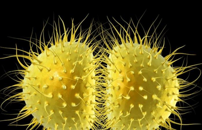 مرض خطير تفشى في جامعة أدى لوفاة شخصين