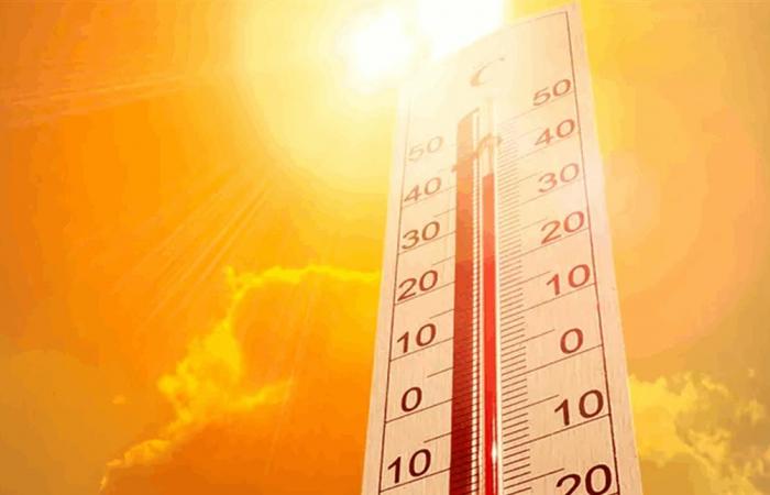 700 ألف شخص قد يموتون سنويًا بحلول العام 2050... ما السبب؟