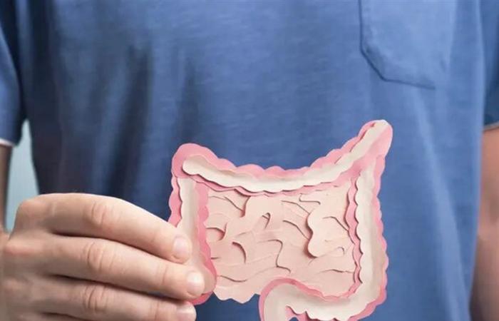 مكملات غذائية تعزز صحة الأمعاء.. تعرفوا عليها