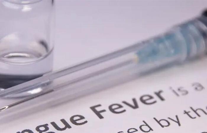 فيروس معقد يجعل الوقاية أصعب من المتوقع.. حمى الضنك تتوسع عالميًا