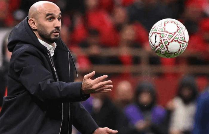 الركراكي على رادار غانا.. مفاوضات متقدمة لخلافة أوتو أدو