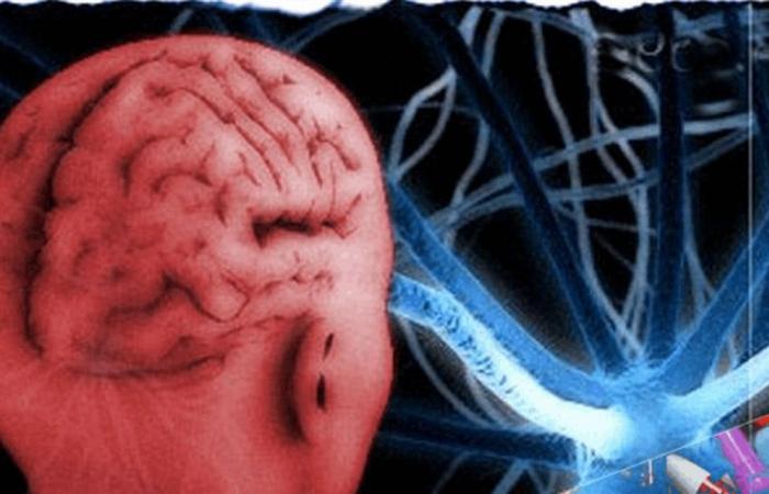 دراسة: هكذا تغيّر المواد المهلوسة الدماغ