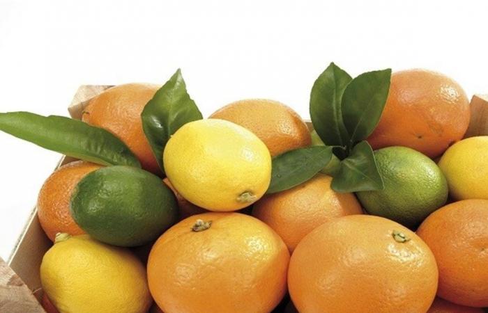 إليكم فوائد روائح الحمضيات للجهاز العصبي