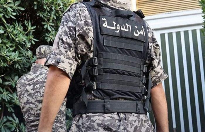 أمن الدولة: استشهاد 13 عنصرًا نتيجة قصف على سراي النبطية