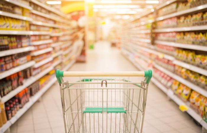 بحصلي وفهد: لا أزمة غذاء في الأفق