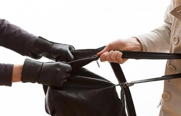 أغرب حادثة.. سرق كنزاً بنحو 3 ملايين دولار من دون ان يُدرك ذلك! (صورة)