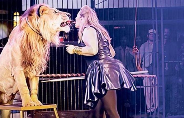 حادثة مروعة.. شبل أسد يهاجم ابنة الـ 3 سنوات داخل سيرك