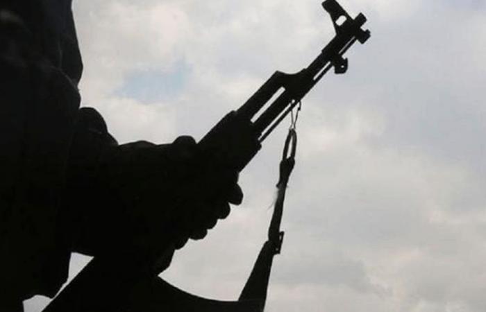 عراك وإطلاق نار في بلدة علما الشمالية