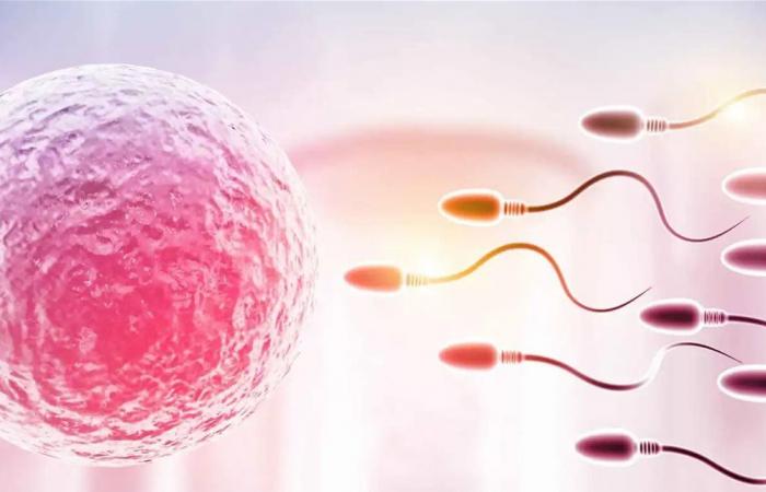 دراسة تحذر: التلوث الكيميائي يهدد خصوبة البشر والحيوانات عالمياً