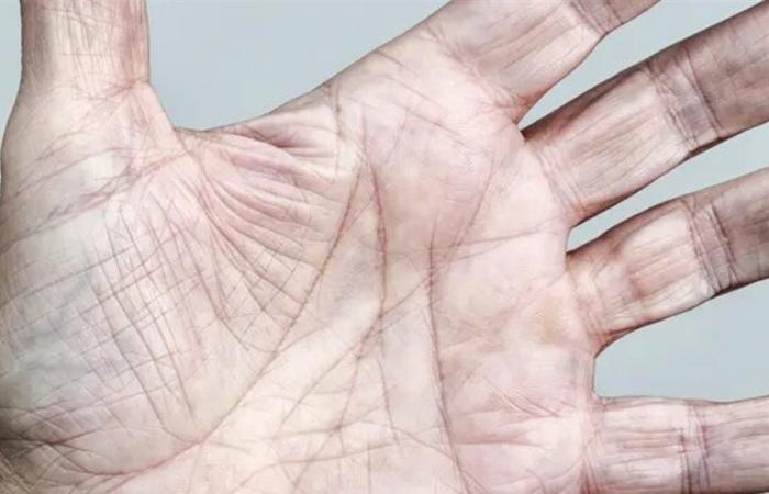 إحذروا ترند "قراءة الكف".. قد يكلفكم غالياً جداً!