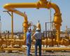 مصر توقع 9 اتفاقيات جديدة مع شركات عالمية للبحث عن البترول