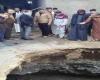 مصر: الأرض تنشق وتبتلع سيارة ومصرع سائقها