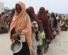 الجفاف والجراد يهددان الصومال بالمجاعة