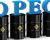 “الطاقة الدولية” تحث “أوبك+” على زيادة إنتاج النفط