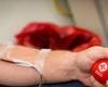 'فائدة غريبة' من التبرع المنتظم بالدم!