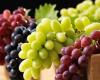 أنواع العنب... تعرفوا على بعض فوائدها