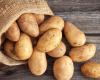 استهلاك البطاطا.. ما علاقته بأمراض القلب؟
