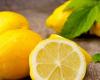 5 فوائد صحية مذهلة.. هذا ما يحدث لجسمك عند تناول ليمونة واحدة يوميًا!