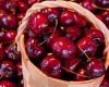 الكرز.. فاكهة صغيرة بفوائد كبيرة للجسم والصحة!