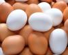 البيض.. غذاء صحي وفوائد متعددة للجسم